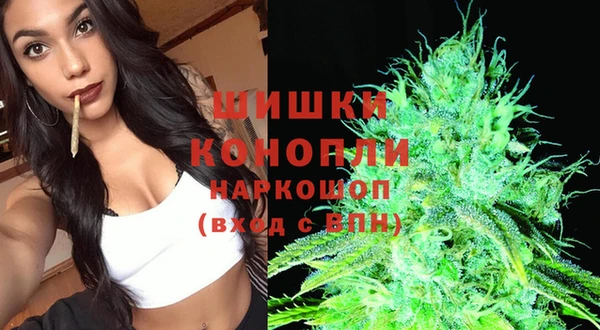 винт Армянск