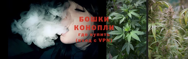 винт Армянск