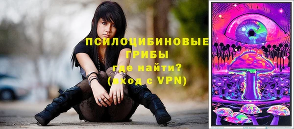 винт Армянск