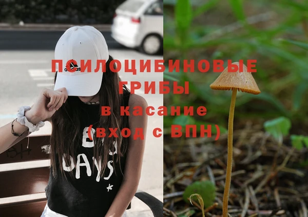 прущая мука Арсеньев